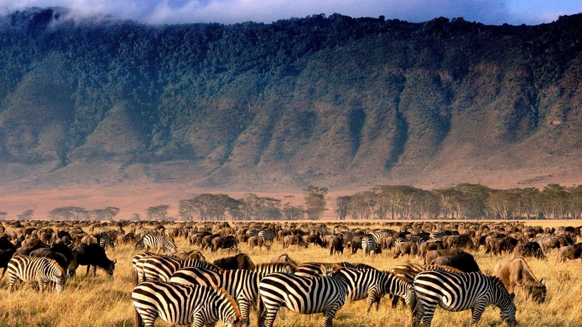 Ngorongoro-Crater-2
