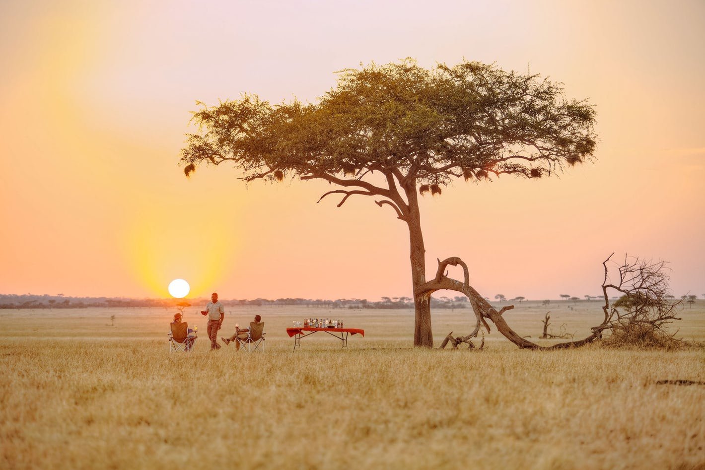 1-serengeti-national-park-tanzania-Sundowner