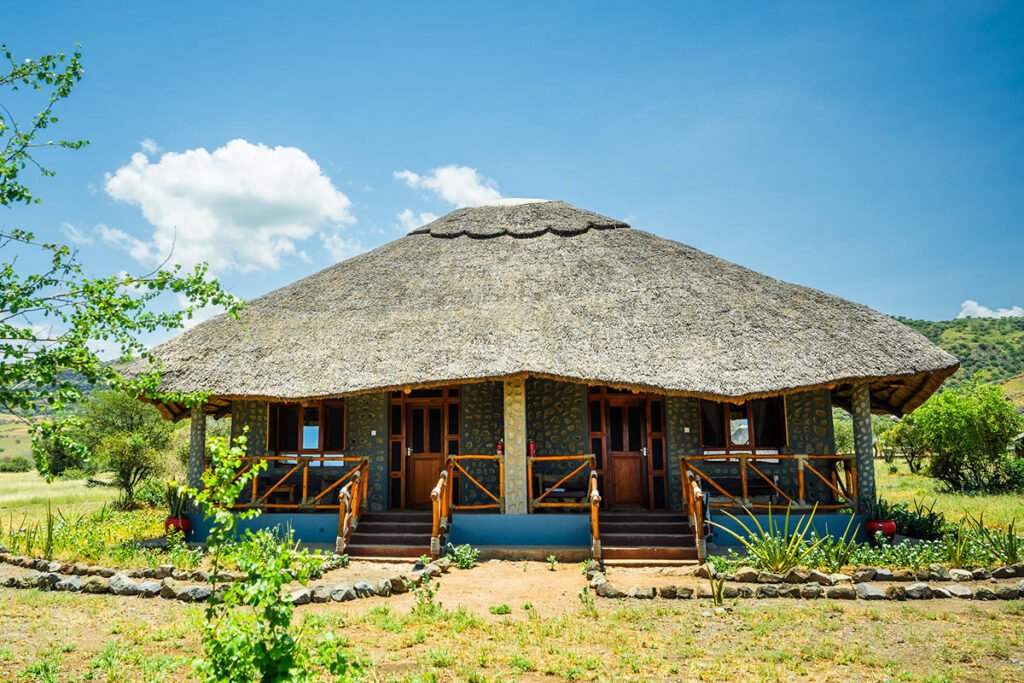 tanzania safari and kilimanjaro climb