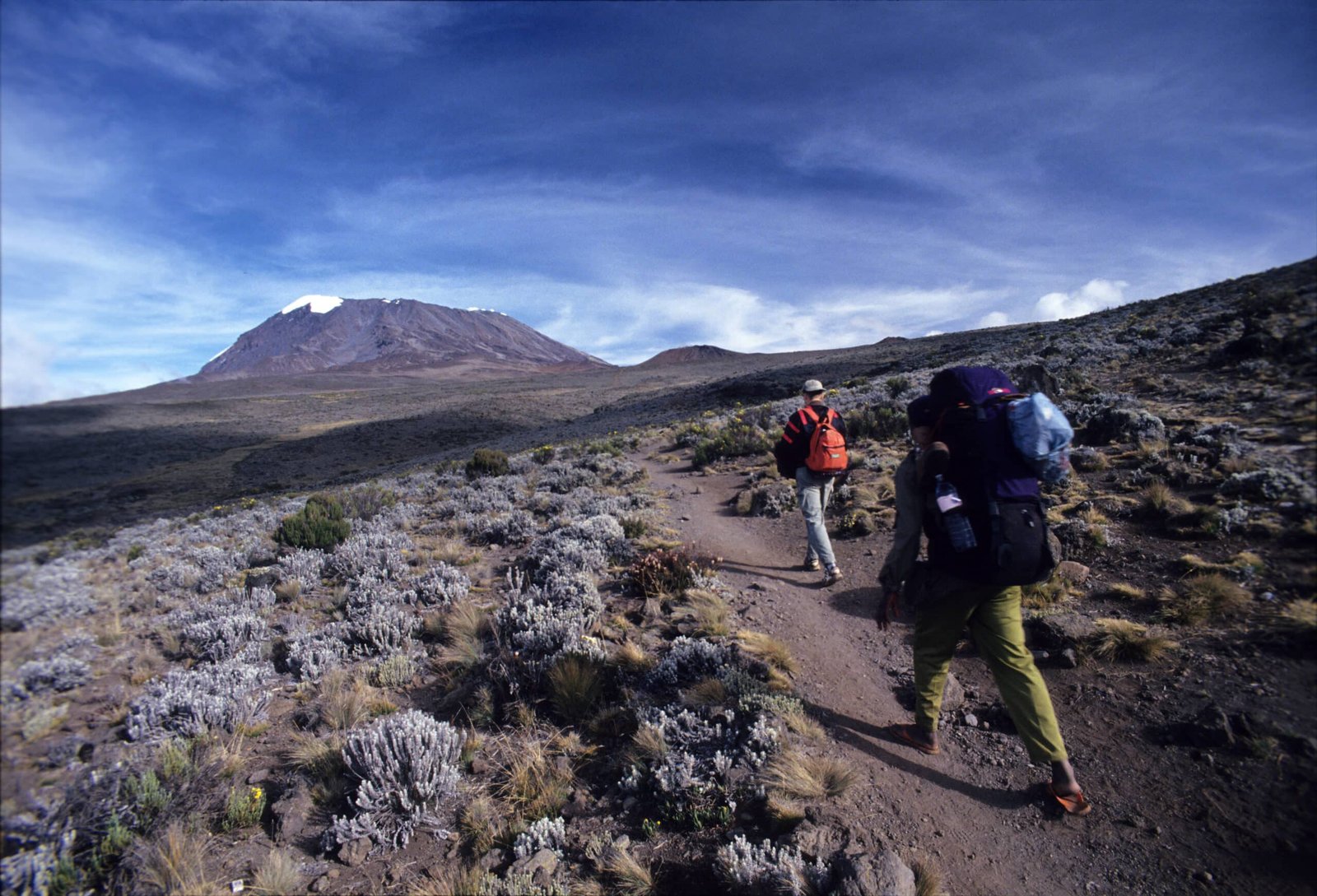 Climbers-trekking-Mount-Kilimanjaro