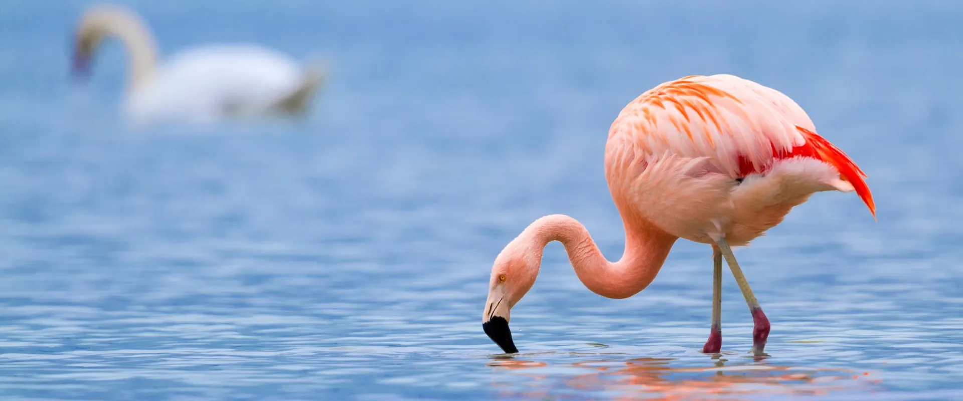 Lake-Manyara-National-Park