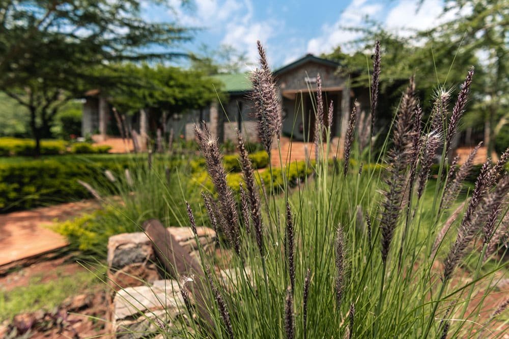 Ngorongoro Oldeani Mountain