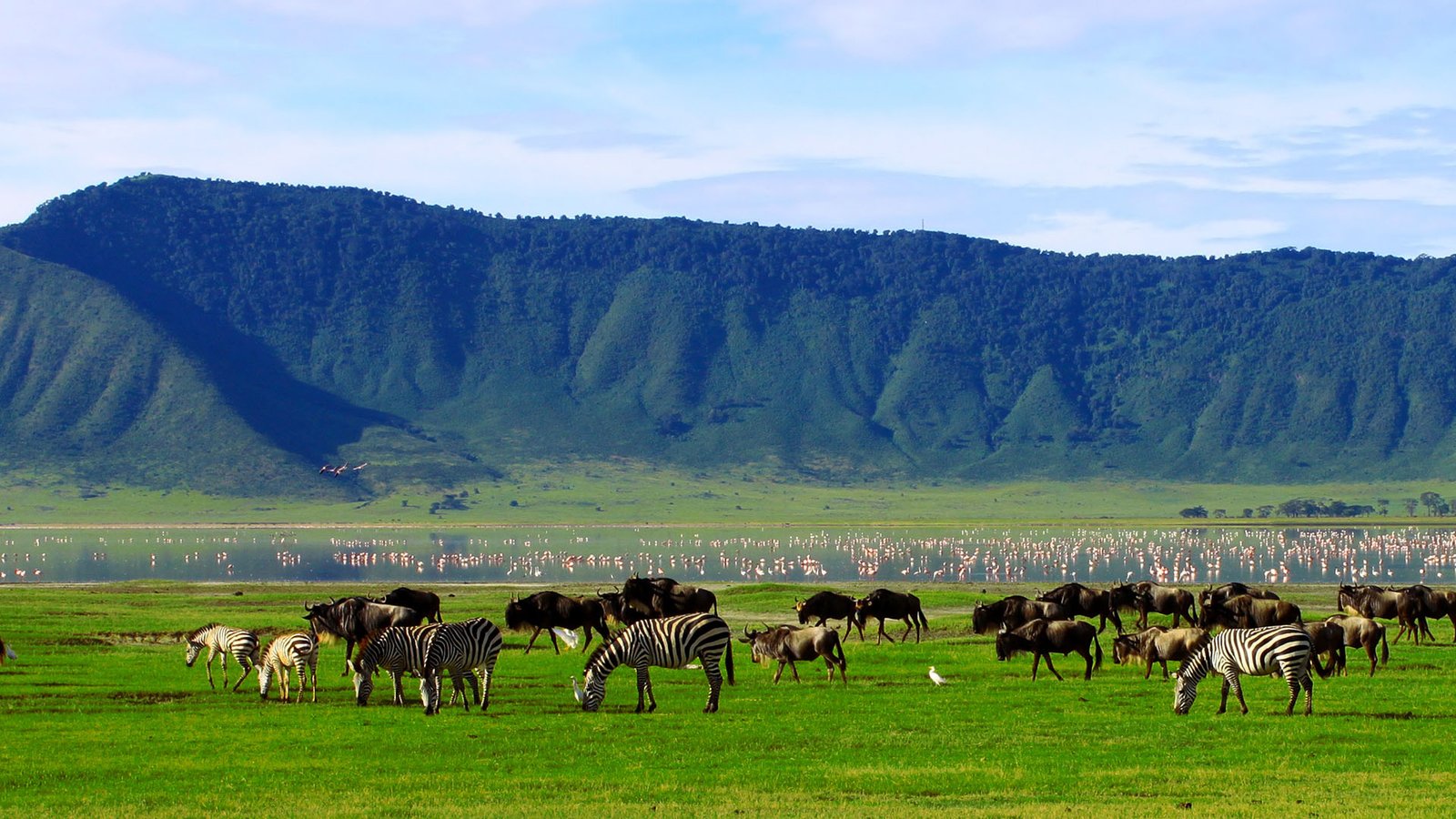 game drive in ngoro