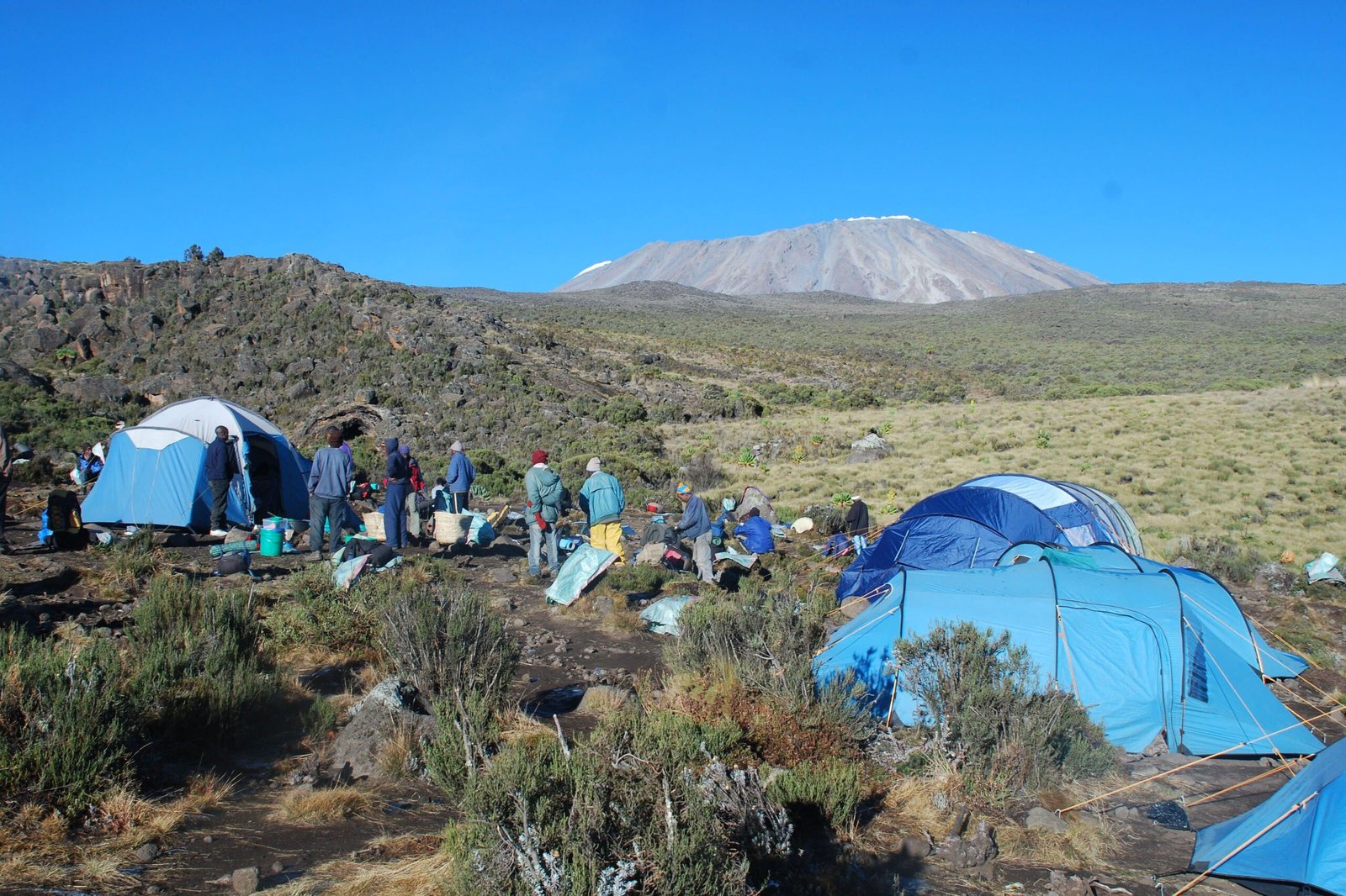 tanzania safari holidays