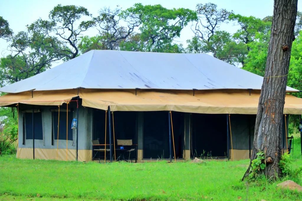 tanzania travel packages