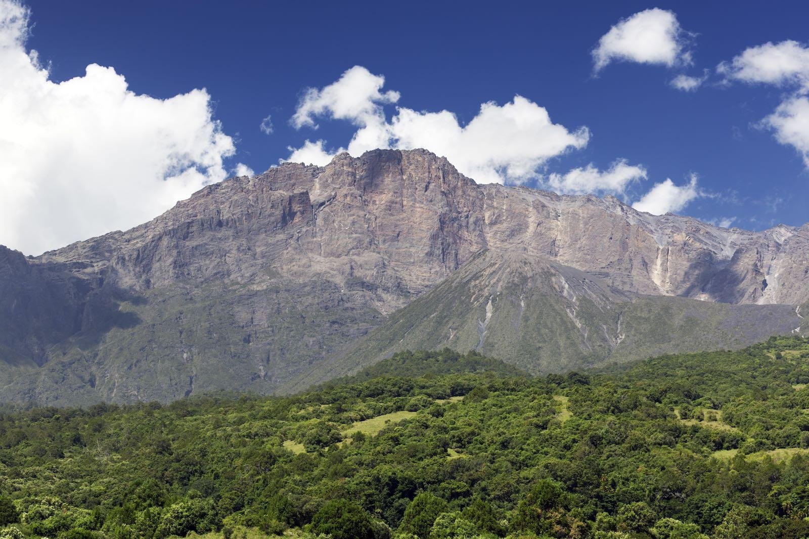 tanzania safari holidays