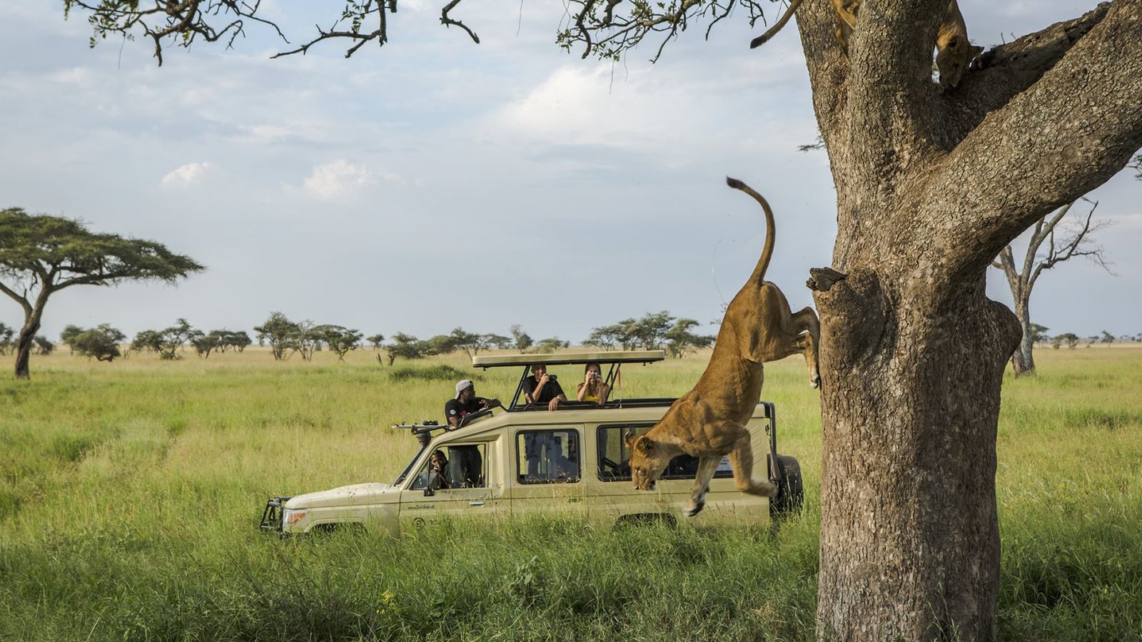 serengeti-national-game drive