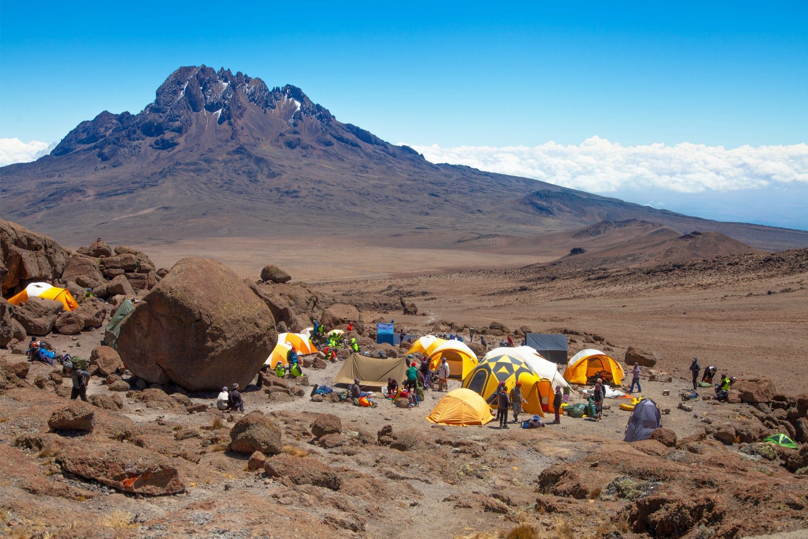 tanzania safari holidays