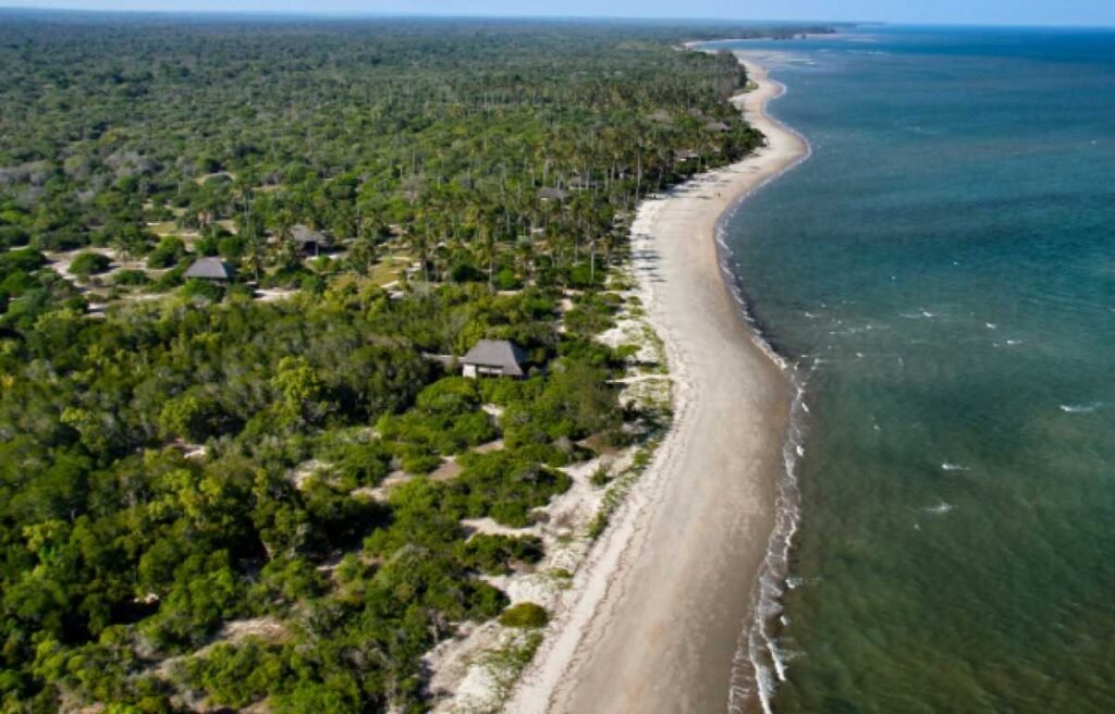 Where Beach Meets the Wild: Explore Saadani Park
