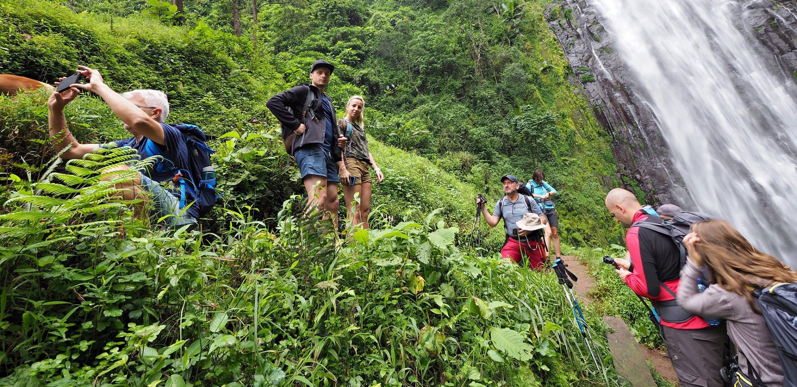 3-Day Kilimanjaro Short Trek & Arusha Coffee Tour (Beginner-Friendly Adventure)