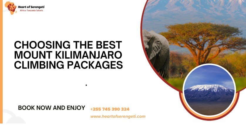 Choosing The Best Mount Kilimanjaro Climbing Packages