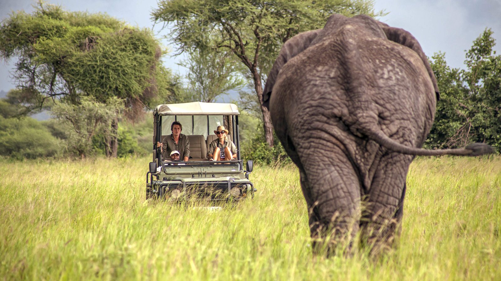 Tarangire Lake Manyara Safari