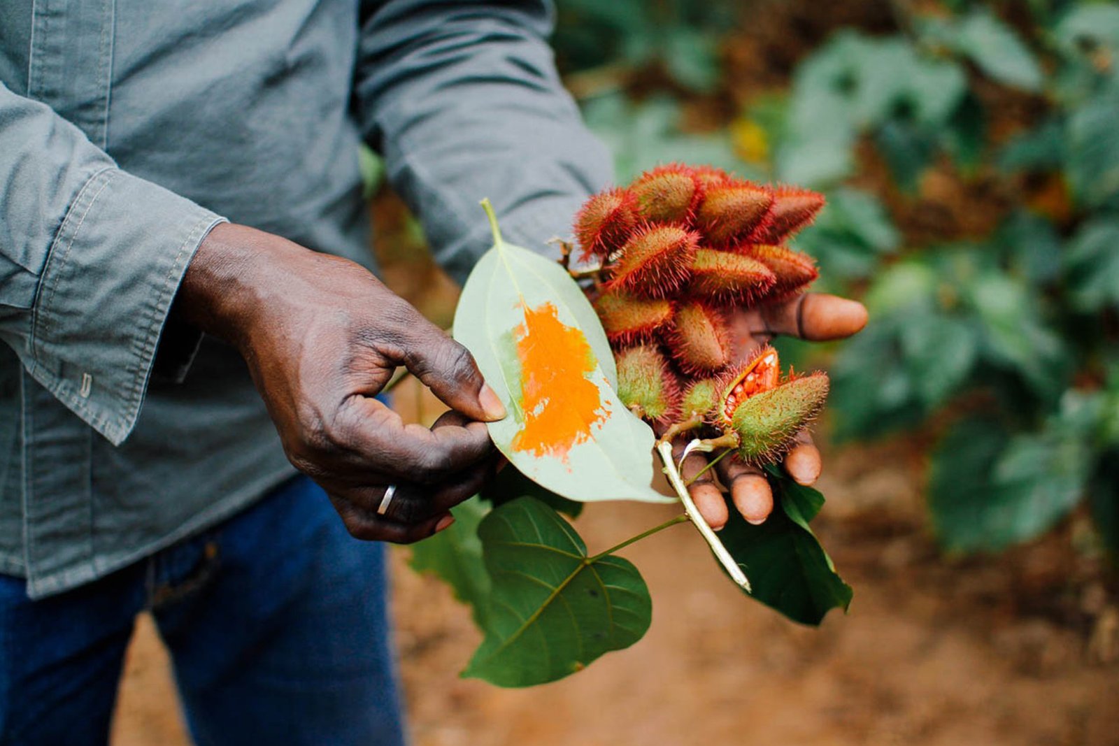 zanzibar spice farm