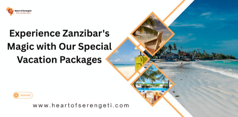 Experience-Zanzibars-Magic-with-Our-Special-Vacation-Packages