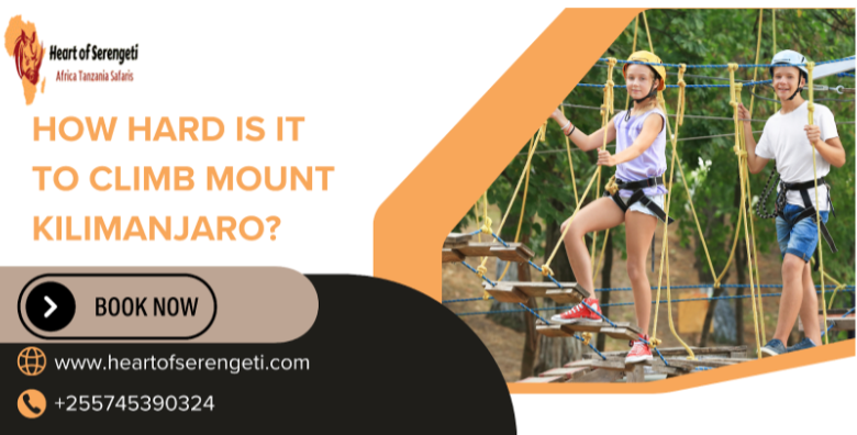 How Hard Is It to Climb Mount Kilimanjaro?