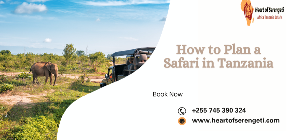 Safaris and Tanzania