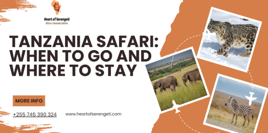 Tanzania safaris