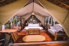 Why Stay at Nyerere Tented Camp for an Authentic Safari Experience