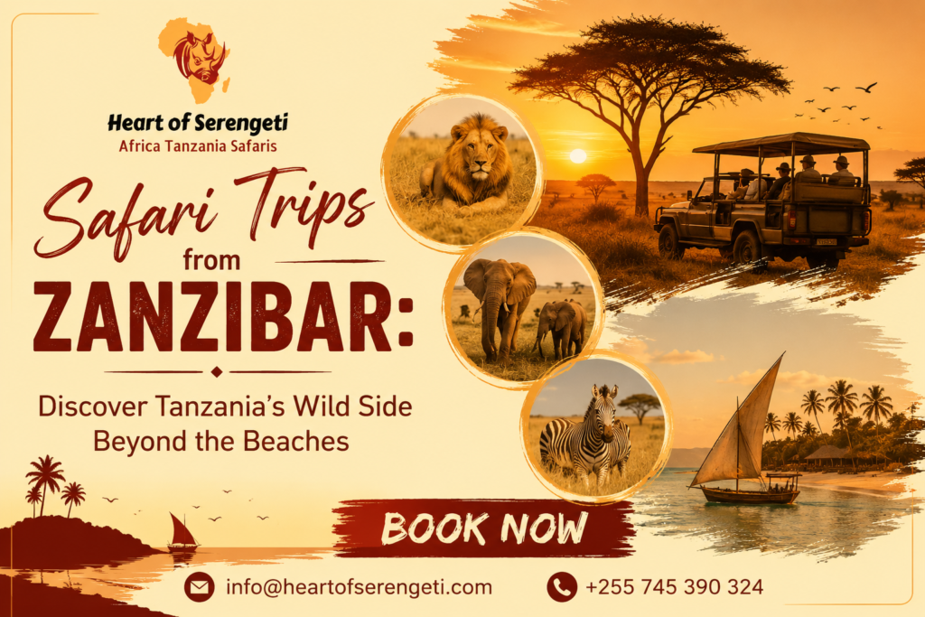 Zanzibar safari trips