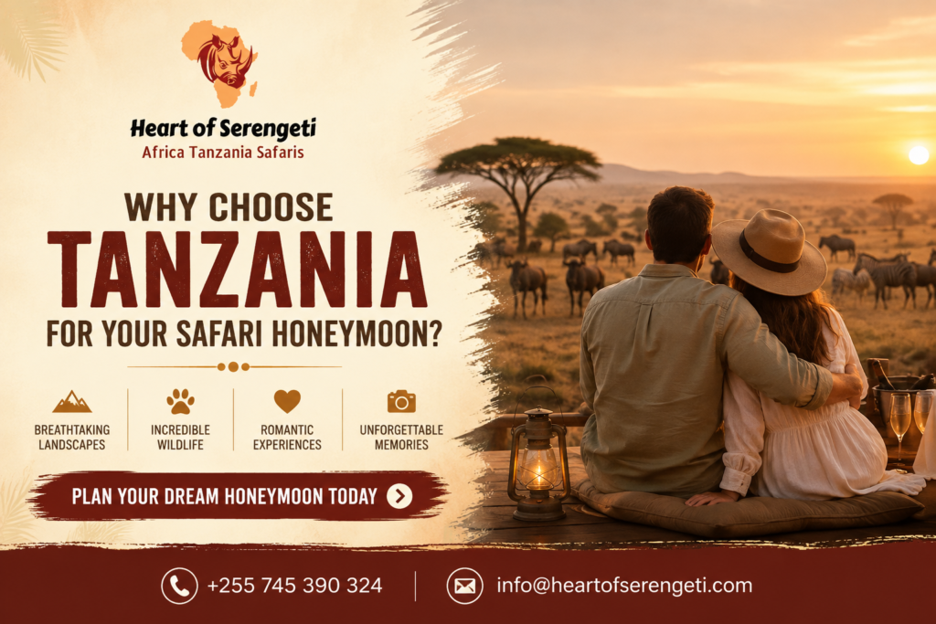 honeymoon safari in Tanzania
