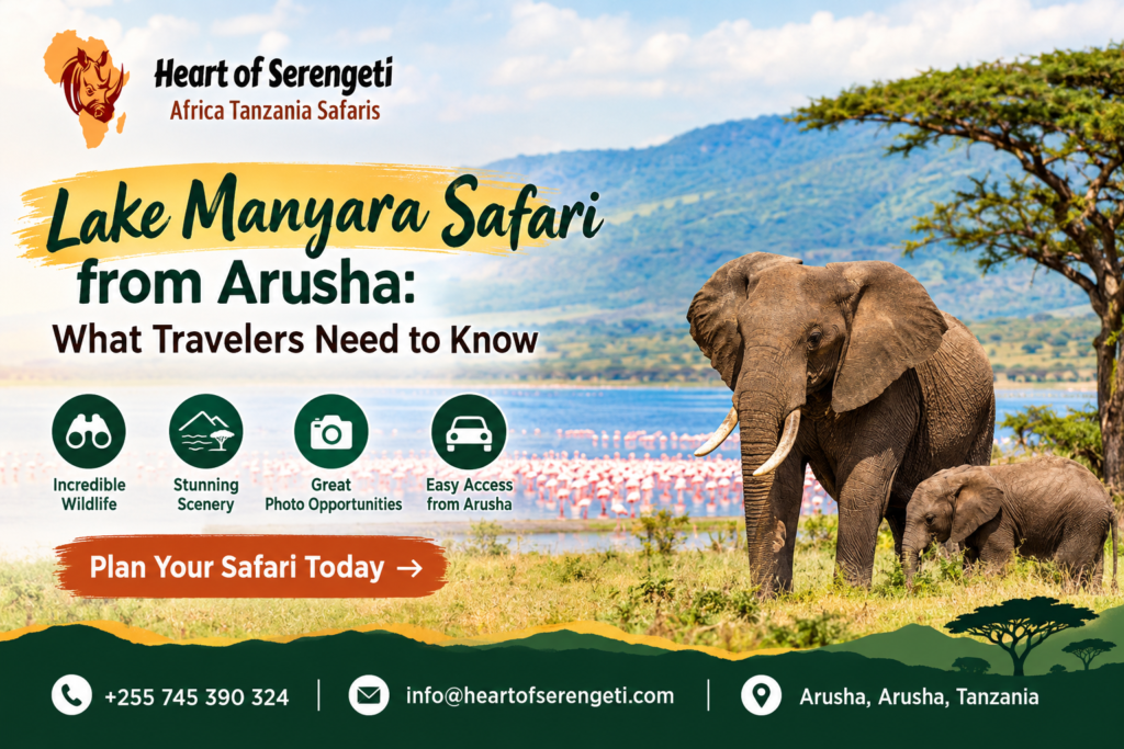 Lake Manyara Safari