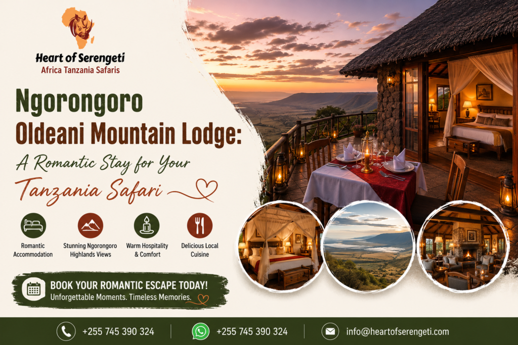 Ngorongoro Oldeani Mountain Lodge
